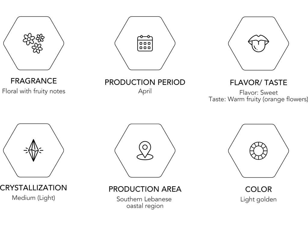 Rutaceae - Citrus Flowers <br> عسل زهر الليمون
