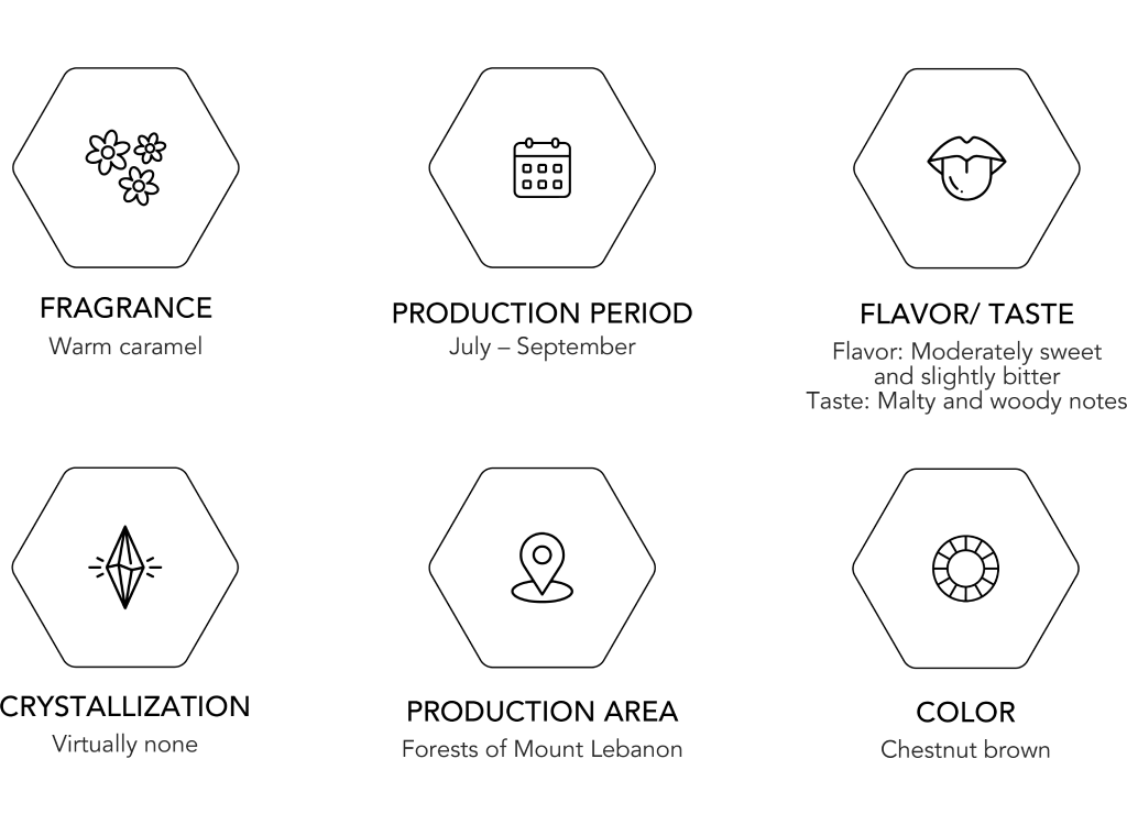 Quercus - Wild Oak <br> عسل السنديان
